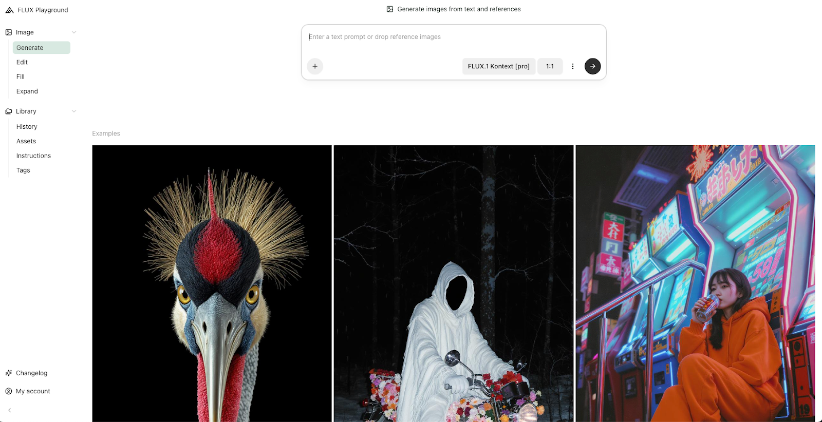 Flux Playground interface