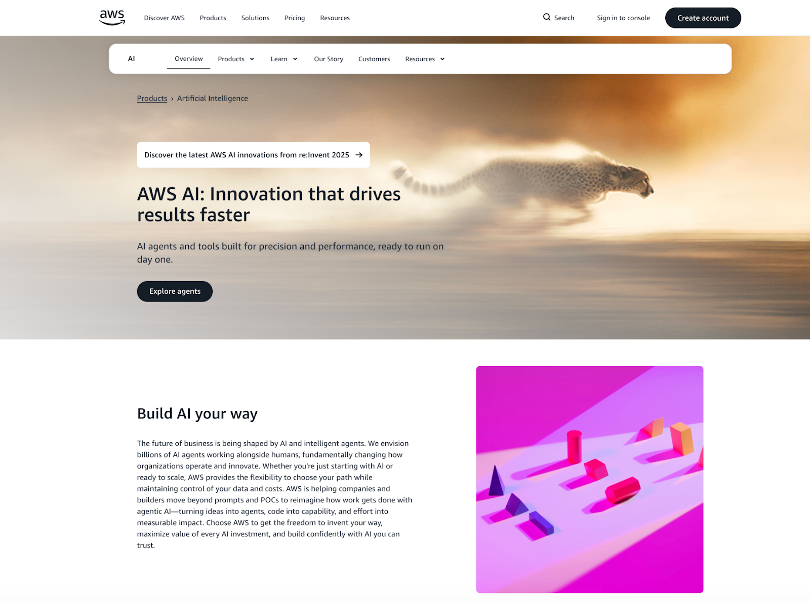 AWS AI homepage