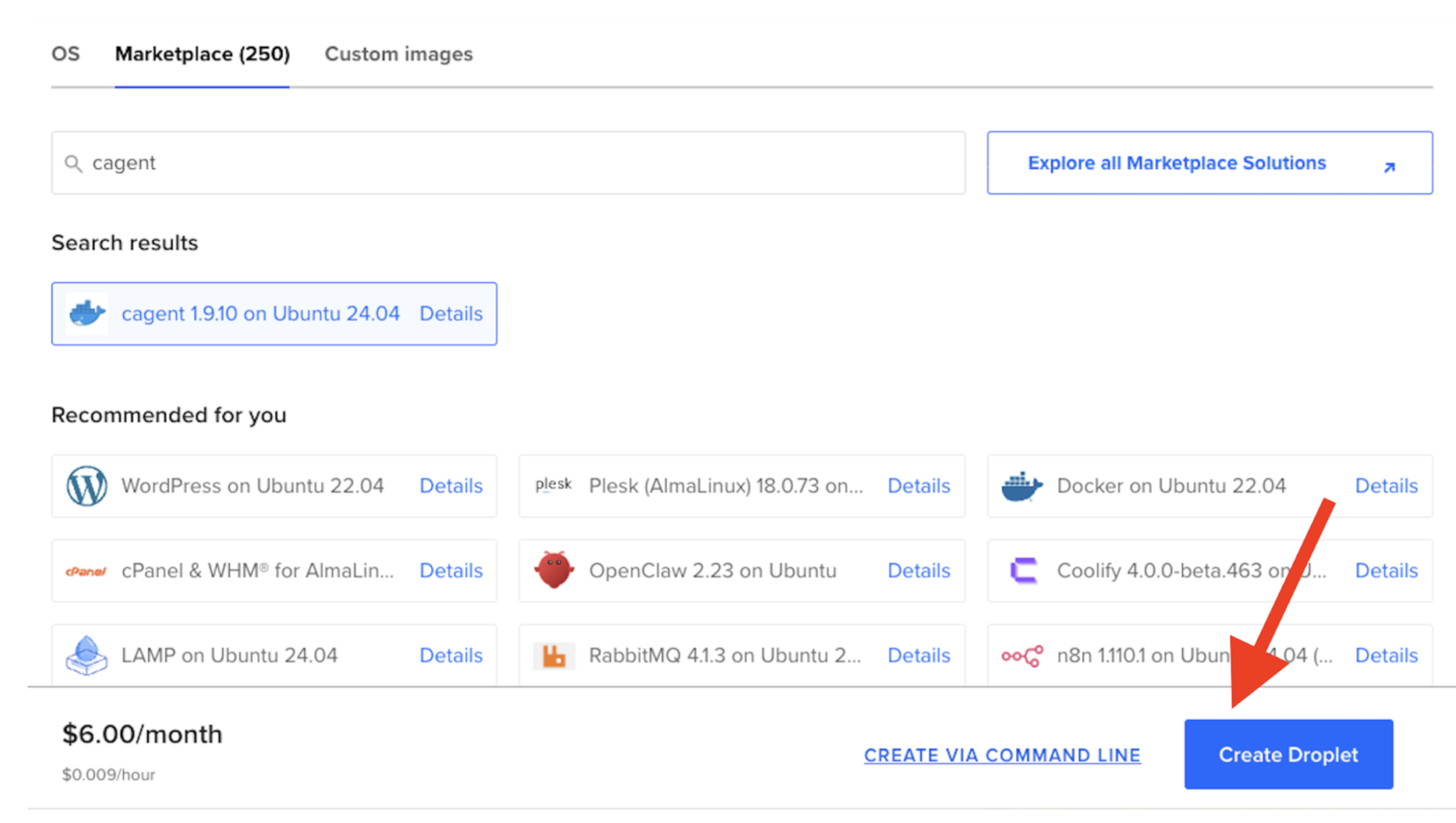 The Docker Agent 1-Click App page with the Create Droplet button