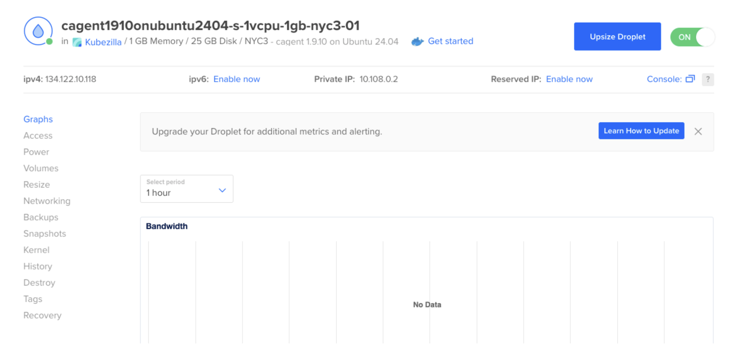 Your new Docker Agent Droplet with IP address and specifications