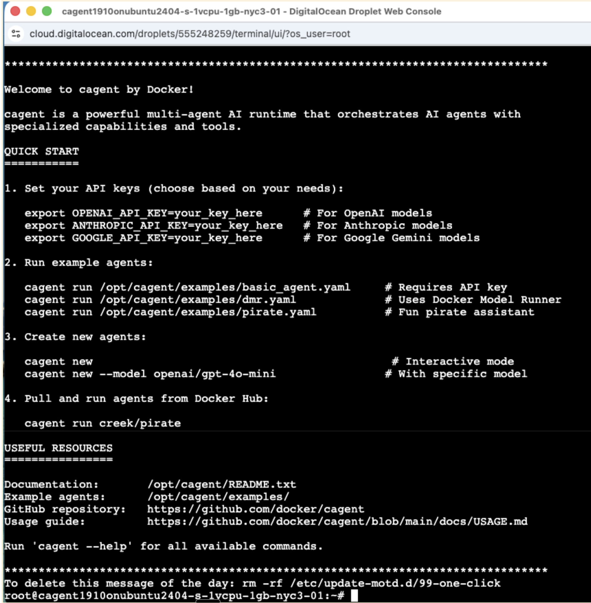 Access the Droplet Console from the Access tab in your Droplet settings