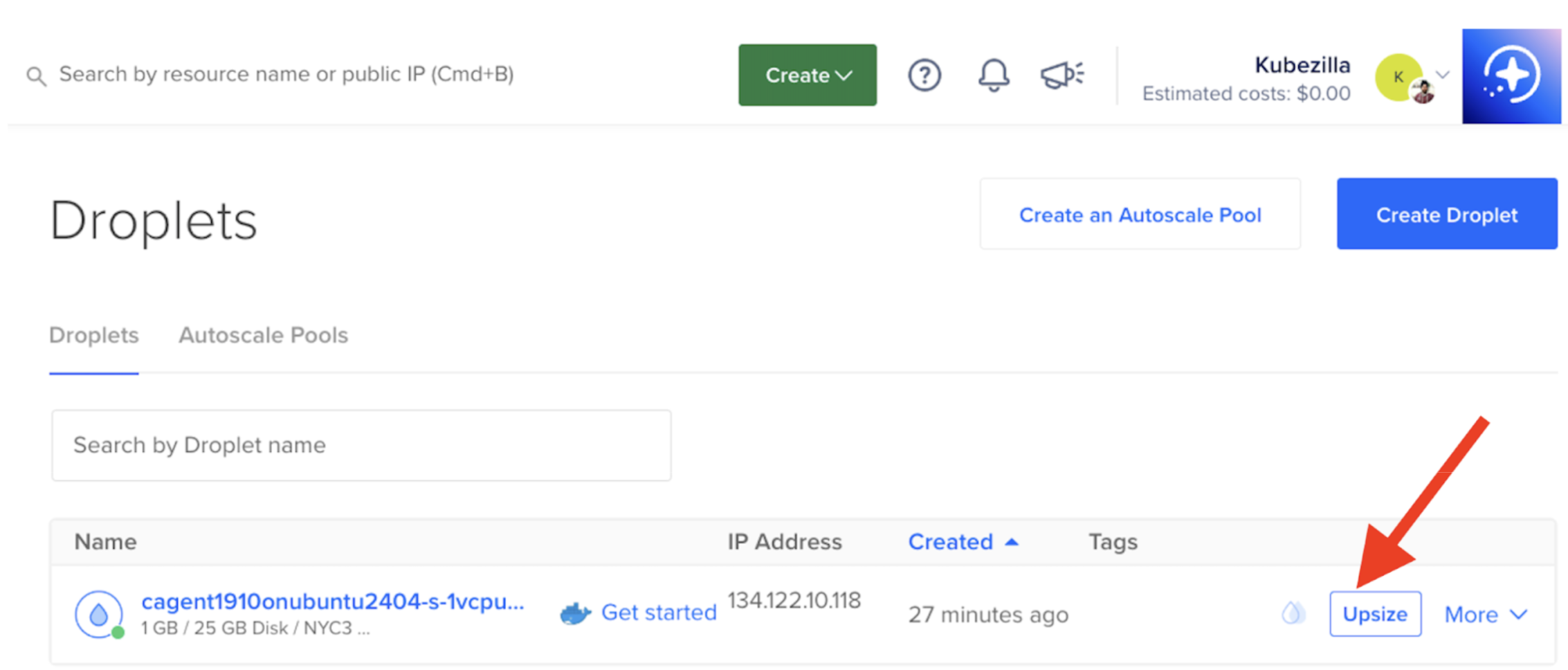 Select the 8GB RAM plan for local model inference