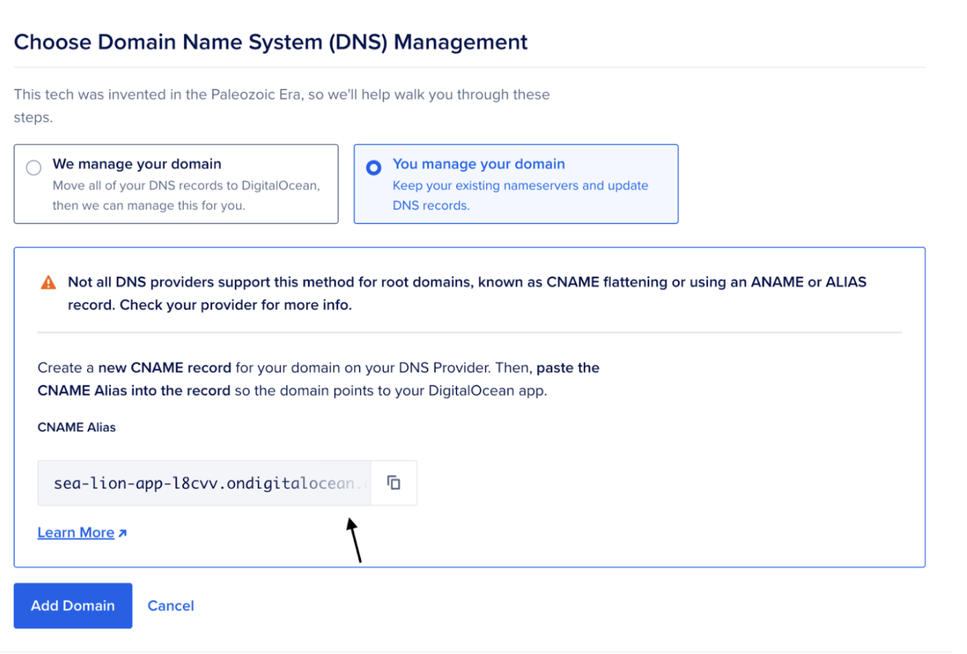 Choose DNS