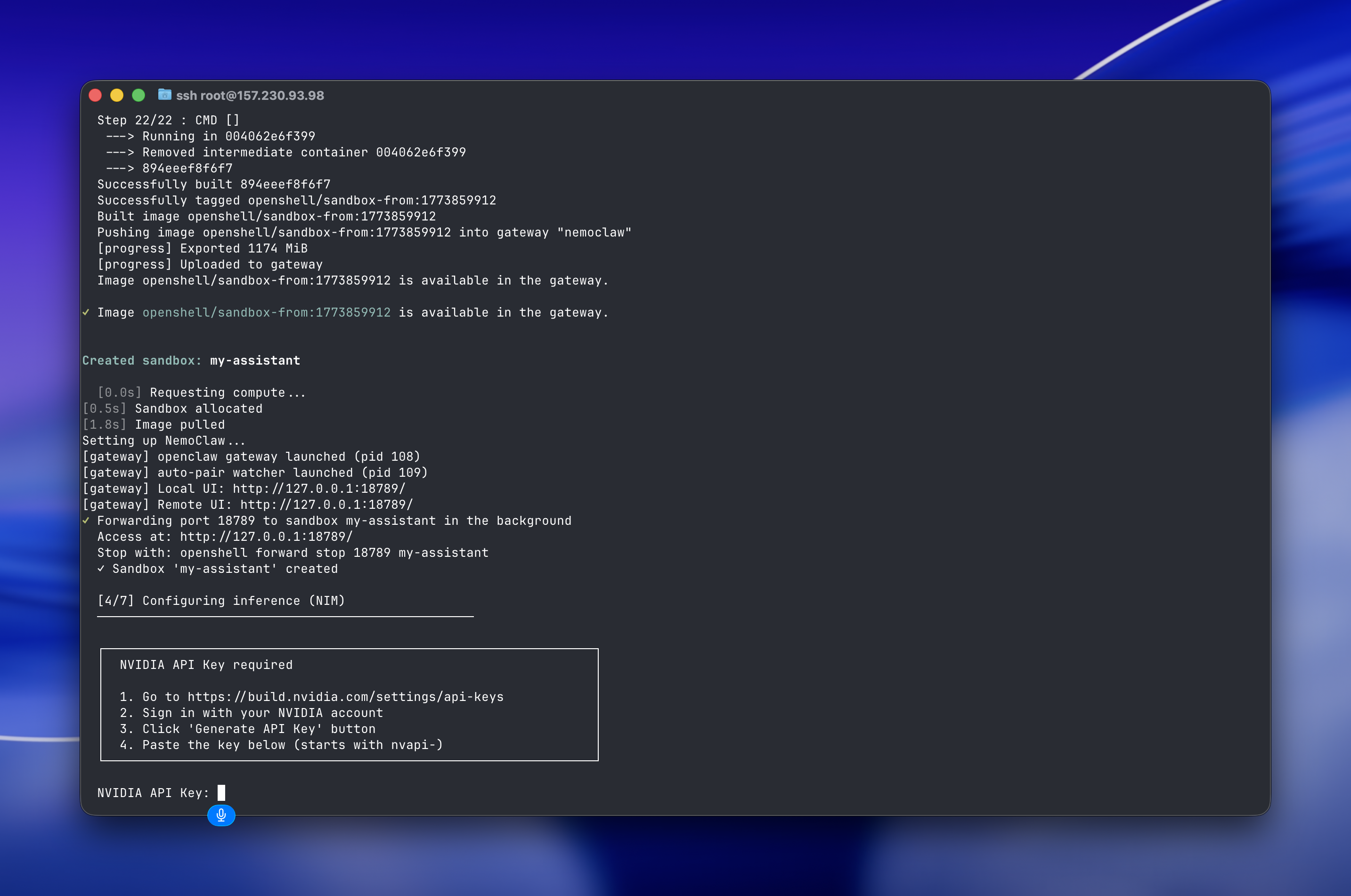 Terminal showing the sandbox creation complete and the NVIDIA API Key prompt with step-by-step instructions