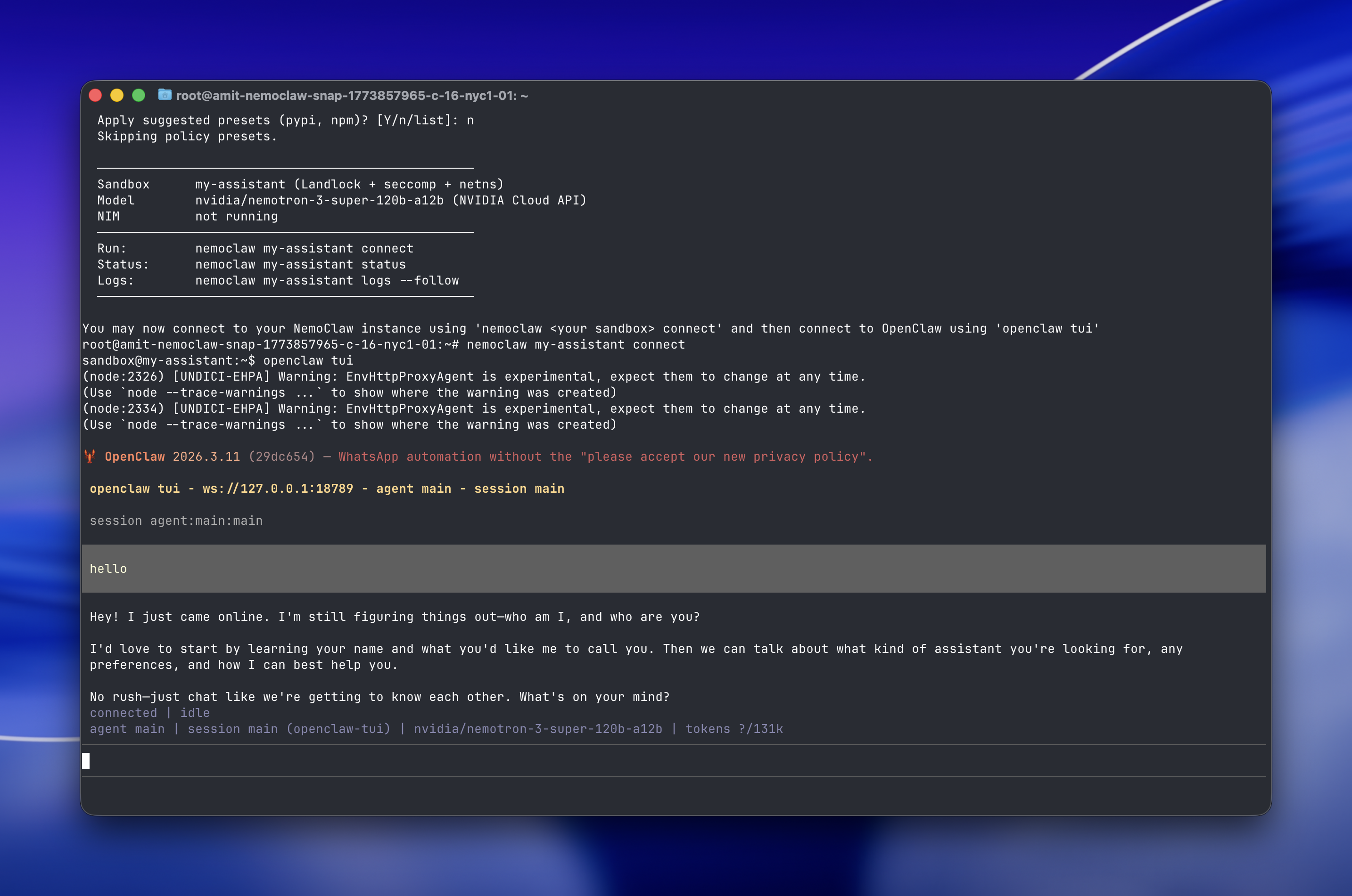 The OpenClaw TUI running inside the NemoClaw sandbox, showing the agent's greeting and an interactive chat session