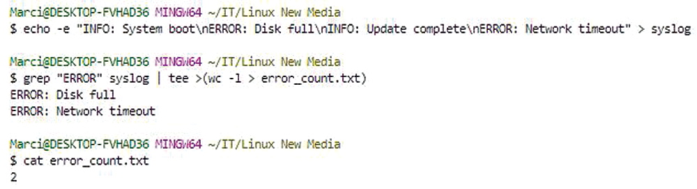 Find lines containing ``ERROR'' and check the terminal for the error messages (output from grep).