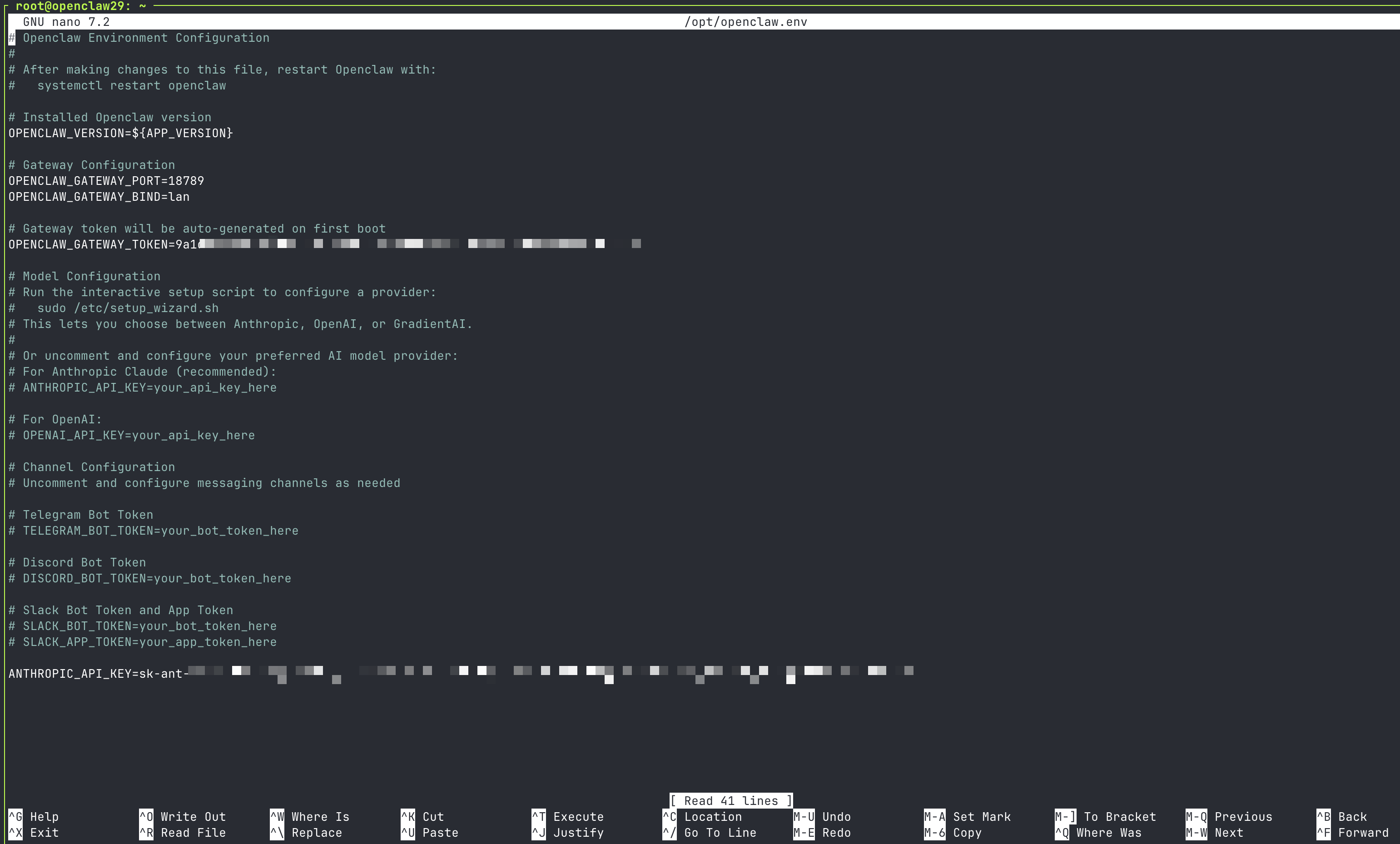 Set enviornment variables