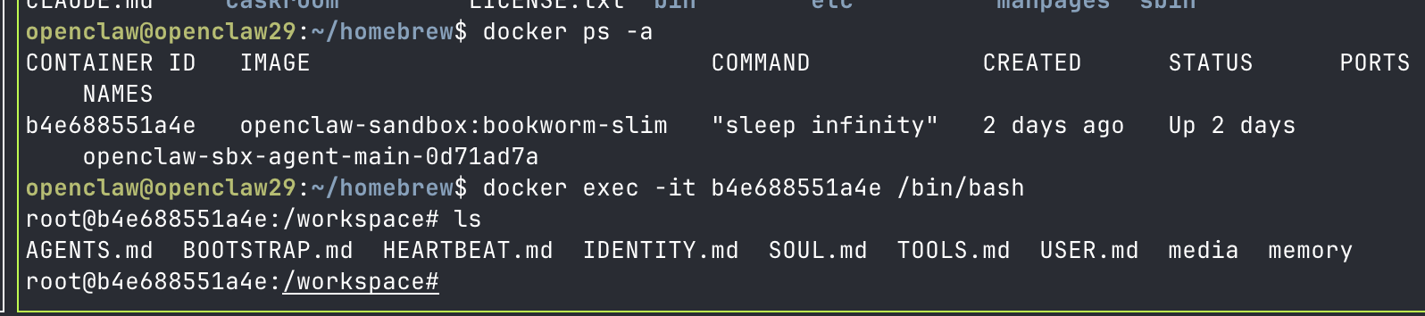 Viewing the Sandbox Files
