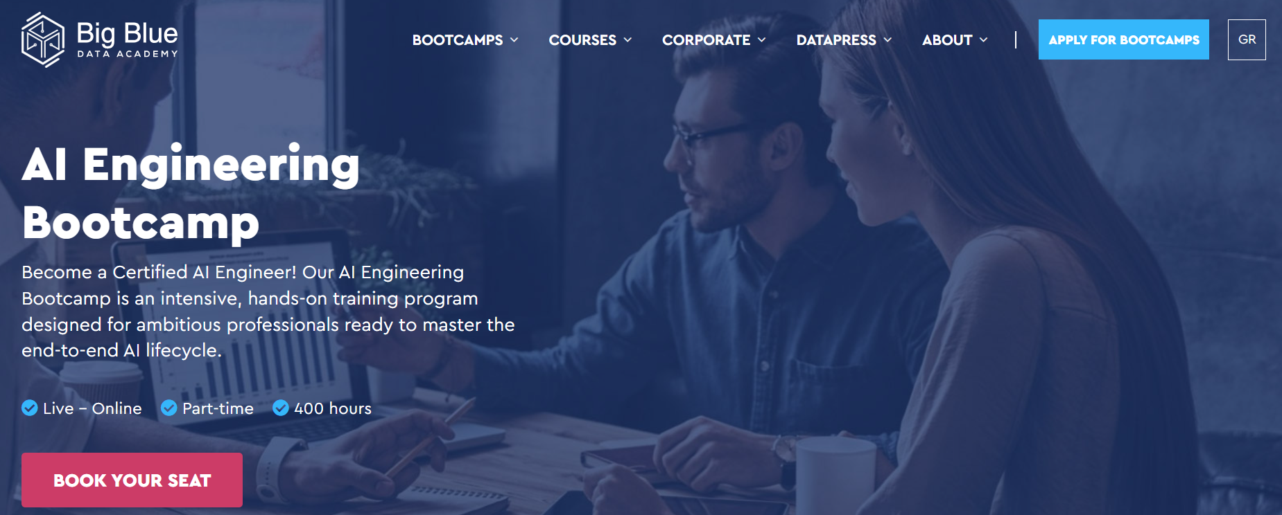 Big Blue Data Academy image