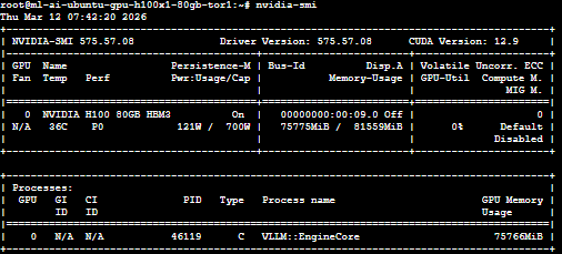 nvidia smi command output image