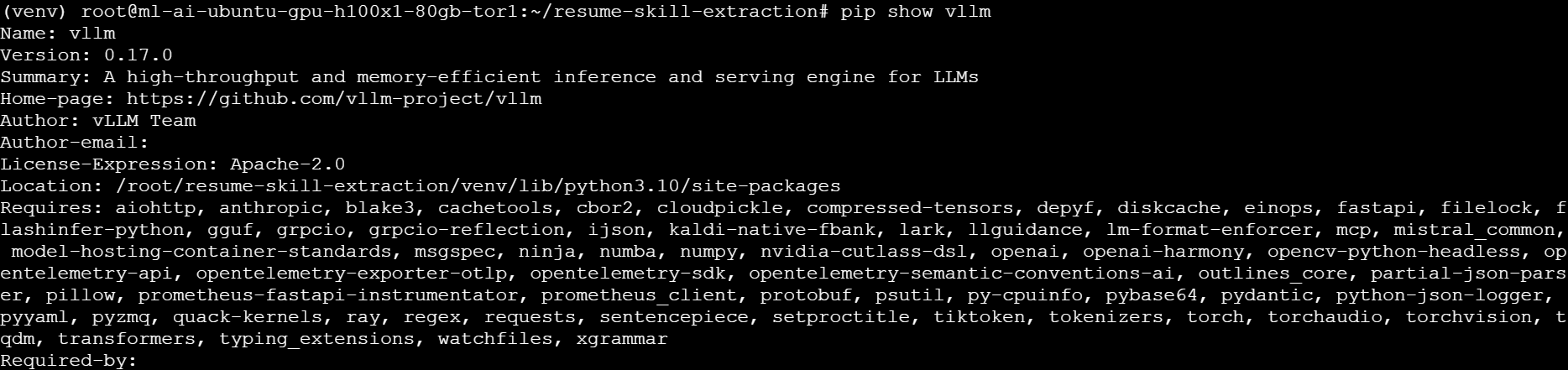 vLLM installed image