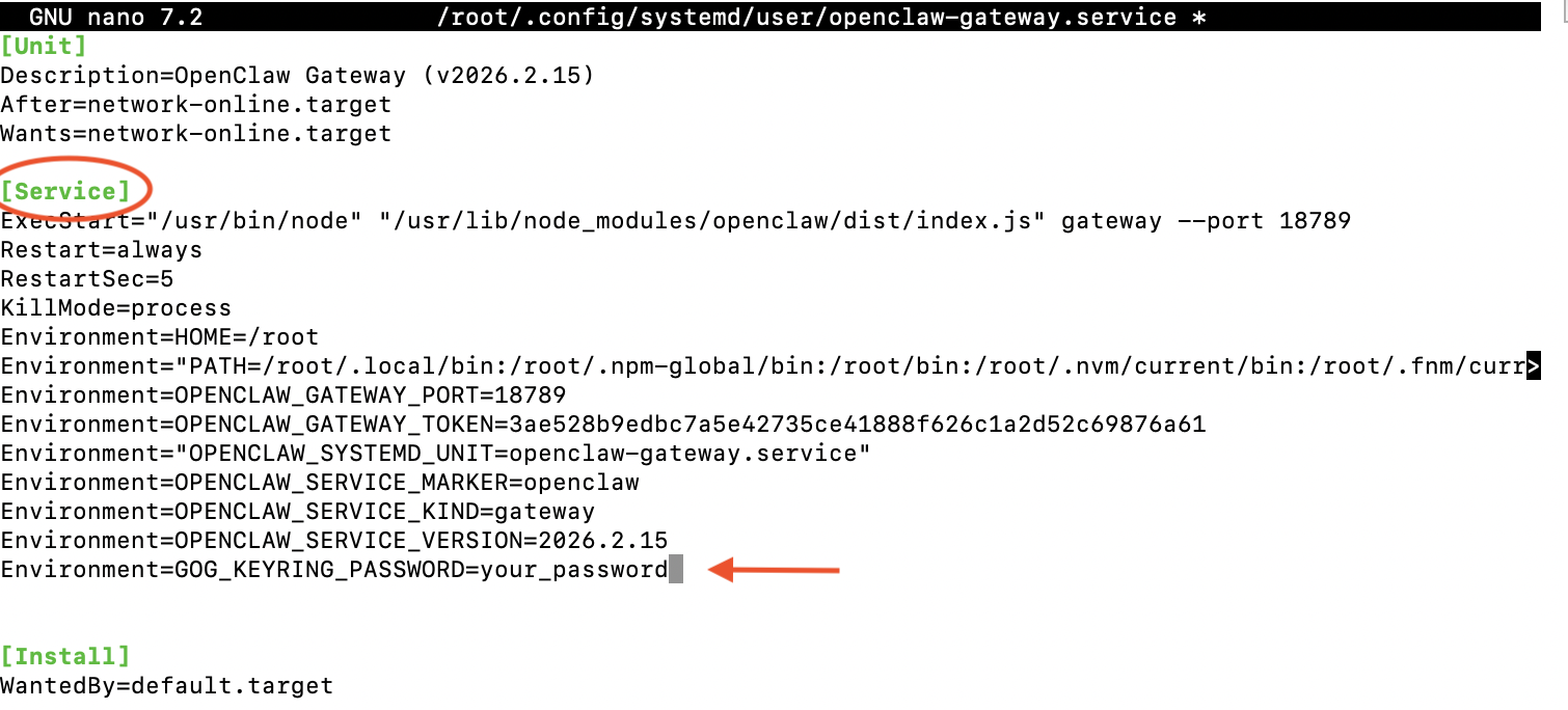 System service configuration file showing the Service section with Environment variable being added