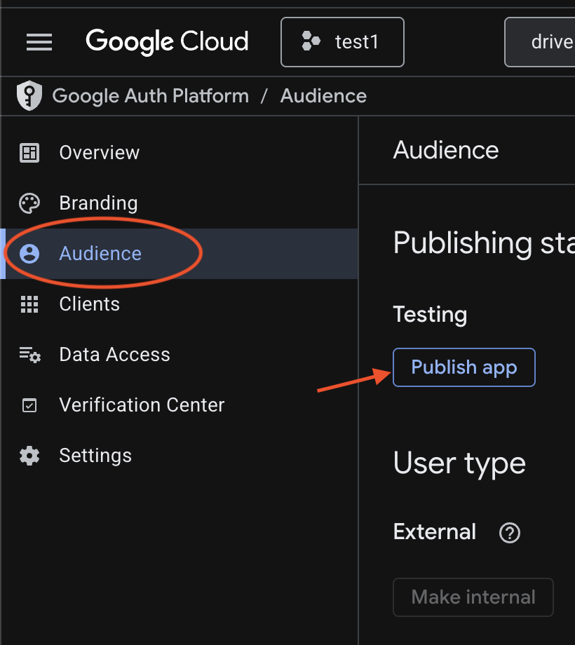 Google Cloud Console OAuth consent screen showing the Audience section with Publish App option