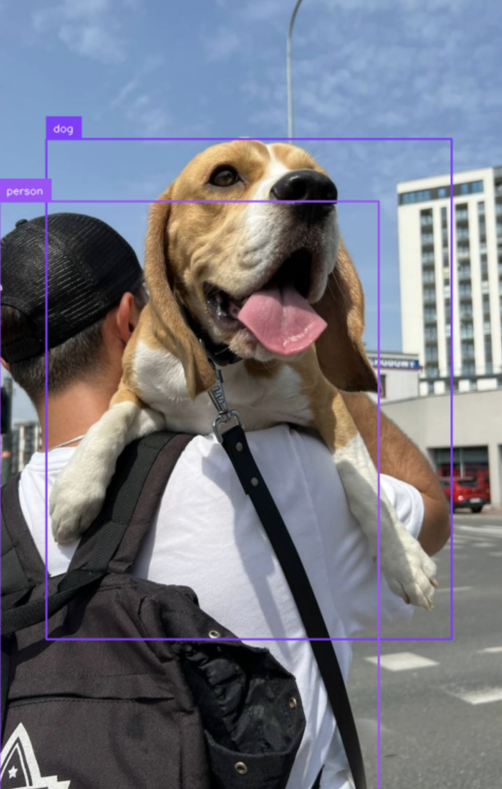 Object Detection using YOLOv10