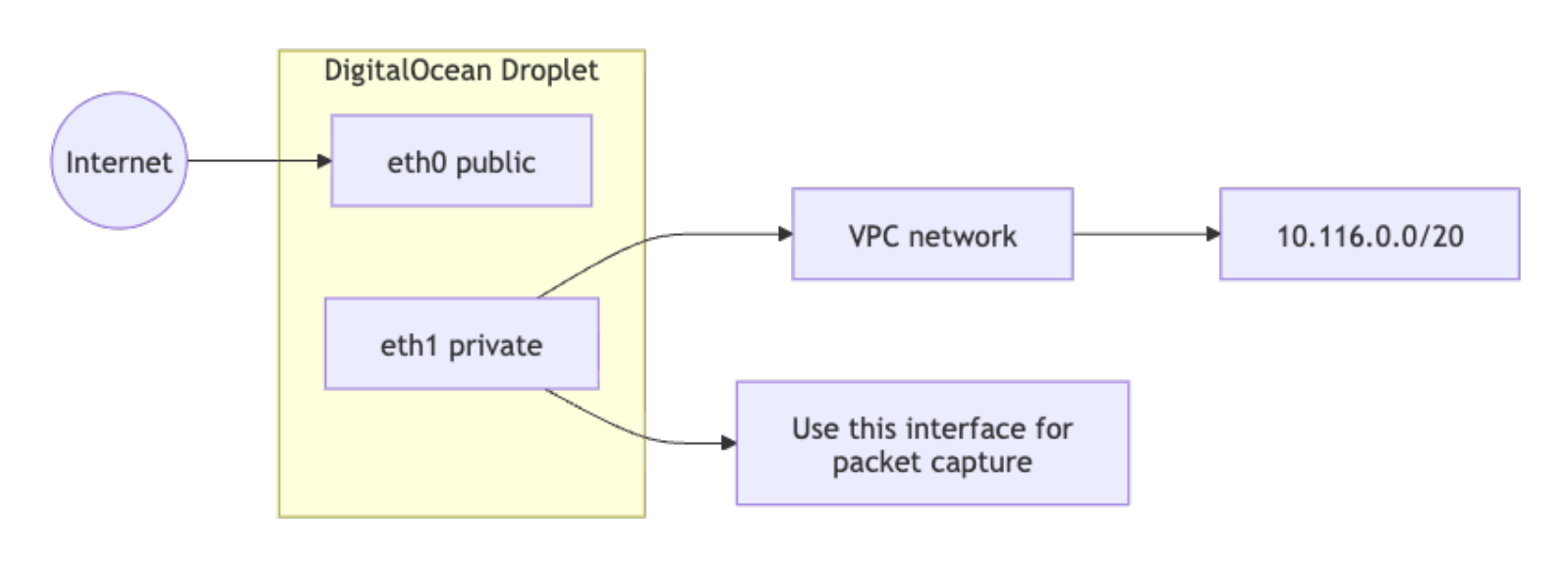 Diagram showing a DigitalOcean Droplet with public eth0, private eth1, VPC network, and packet capture on the private interface.